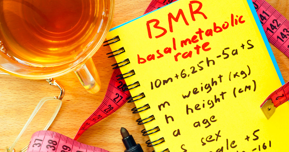 Metabolism and Energy Balance